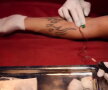 VIDEO & FOTO Așa ceva nu ai mai văzut niciodată! Își beau sângele, exact ca vampirii