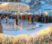 GALERIE FOTO & VIDEO Aşa ceva nu ai văzut niciodată. Aceasta este cea mai spectaculoasă nuntă din acest an!