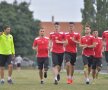 El Comandante » Cosmin Contra face tot la Dinamo! 8 aspecte importante prin care se impune "Guriță"