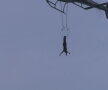 VIDEO & FOTO Nebunie curată! A zburat deasupra Niagarei agăţată de un elicopter
