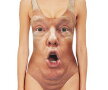 Shocked Trump