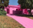 FOTO & VIDEO A vopsit mai multe case în roz şi a stârnit controverse în Los Angeles