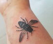FOTO Câți bani s-au adunat prin tatuajele cu albine pentru victimele atentatului din Manchester