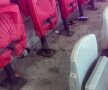 EXCLUSIV / FOTO Imagini scandaloase înainte de Dinamo - Gaz Metan: "Veniți la stadion, că vă întâmpinăm cu mizerie!" » Răspuns oficial stupefiant