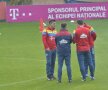 FOTO: Cristi Preda / Gazeta Sporturilor 