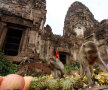 VIDEO Thailanda, țara în care maimuțele fură mai mult decât oamenii