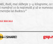 Măi, Budi, mai slăbește 3-4 kilograme, ca să iei numărul 10 la națională și să se numească Generația lui Budescu