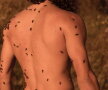 GALERIE FOTO Apicultorii au calendar nud pentru 2018. Fotografiile sunt senzaționale!