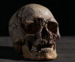 A fost recreată fizionomia primului britanic de pe pământ. Vei rămâne uimit când vei vedea cum arăta!