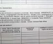 INVESTIGAȚIE GSP. Naşu’ doi într-unul » Nereguli grave la FRH: Alexandru Dedu, patru ani de ilegalitate! + Unde se duc banii din sponsorizări? Ce e firma Cristalica Service?