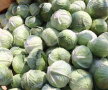 Culmea agriculturii! Un fermier crede că un star porno i-a crescut cultura de varză