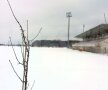 Terenul de la Buftea // FOTO: Marius Mărgărit