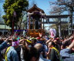 GALERIE FOTO Fotografii amuzante din timpul festivalului penisului 