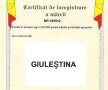 EXCLUSIV / FOTO Ce a cumpărat, mai exact, Academia Rapid de 400.000 de euro? Iată cele 3 sigle și cele două mărci! » Controversă privind palmaresul 