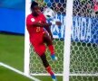 VIDEO Cea mai amuzantă fază! Un jucător belgian era să se accidenteze după golul marcat de Januzaj