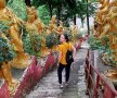 În Hong Kong, la "Mănăstirea celor 10.000 de Buddha"