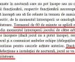 UPDATE Probleme cu nocturna la ambele meciuri ale zilei » Noul "Oblemenco", în beznă la startul partidei cu Poli Iași