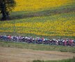 TURUL FRANȚEI. Etapa a 16-a se desfășoară între Carcassonne și Bagnères-de-Luchon (foto: Reuters)