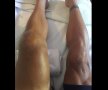 Așa arată genunchiul cu rotula făcută praf al lui Philippe Gilbert! Francezul a mai mers 60km după căzătură în Turul Franței, foto: Instagram @philippegilbertofficial
