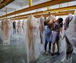 Fotografii incredibile dintr-o fabrică de păpuși sexuale!
