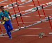 CATCH ME IF YOU CAN. Un muncitor încearcă să prindă o pisică înainte de proba de 100 de metri garduri feminin de la Jocurile Asiei (foto: reuters)