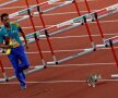 CATCH ME IF YOU CAN. Un muncitor încearcă să prindă o pisică înainte de proba de 100 de metri garduri feminin de la Jocurile Asiei (foto: reuters)