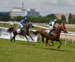 Cai pur sânge arab și englez se întrec pe Hipodromul Ploiești
