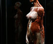 Foto: Hepta