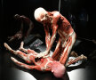Foto: Hepta