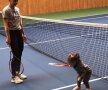 FOTO Simona Halep se pregătește de revenirea pe teren! S-a antrenat azi + dialog amuzant cu Darren Cahill pe Instagram: "Văd că deja stăpânește distrugerea rachetei"
