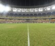 ARENA NIMĂNUI. Pe un teren infect și cu doar 2.000 de fani pe stadion, FCSB s-a impus după un penalty în fața Astrei (foto Raed Krishan)