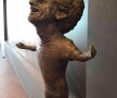FOTO Vă mai aduceți aminte de statuia lui Ronaldo din Madeira? Salah are una la fel de amuzantă în Egipt :) 