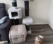 FOTO Ai avut o zi proastă! Cei din poze au pățit-o și mai rău: o galerie FOTO de neratat