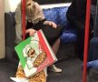 FOTO Ai avut o zi proastă! Cei din poze au pățit-o și mai rău: o galerie FOTO de neratat