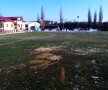 FOTO: Facebook FC Argeș 