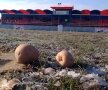 AU SCOS CARTOFII! :) Fanii lui FC Argeș au taxat terenul execrabil pe care s-a jucat meciul cu CS Balotești, pierdut de piteșteni 0-4. "Pe un teren-arătură ca ăsta, fotbal nu știm dacă se face, dar cartofii sigur se fac!", au scris pe facebook suporterii argeșeni. 