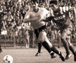 EXCLUSIV » INTERVIU-SPECIAL cu Ilie Dumitrescu la 50 de ani: "Azi, Hagi ar valora peste 100, 150 de milioane de euro fără probleme! Steaua '87 a fost cea mai bună!"