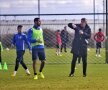 FC Voluntari, antrenament Foto: Raed Krishan