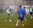 FC Voluntari, antrenament Foto: Raed Krishan