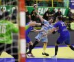 Steaua - HC Dobrogea FOTO: Raed Krishan