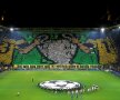 GALERIE FOTO Coregrafie impresionantă la Dortmund! Fanii Borussiei au făcut din nou SHOW în peluză 