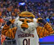 TIGRUL FORȚOS. Mascota celor de la Auburn Tigers a făcut spectacol în confruntarea câștigată din NCAA cu Florida Gators, scor 65-62.