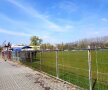 Gazonul arată bine pe terenul 5 din complexul Steaua