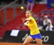 Halep - Garcia, FRANȚA - ROMÂNIA, FED CUP 2019 Foto: Raed Krishan