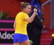 Halep - Garcia, FRANȚA - ROMÂNIA, FED CUP 2019 Foto: Raed Krishan