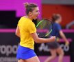 Halep - Garcia, FRANȚA - ROMÂNIA, FED CUP 2019 Foto: Raed Krishan