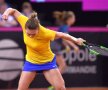 Halep - Garcia, FRANȚA - ROMÂNIA, FED CUP 2019 Foto: Raed Krishan