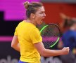 Simona Halep, Fed Cup