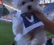 ASTRA - VIITORUL // FOTO Vanessa Mara, iubita lui Denis Drăguș, a lăsat pe toată lumea cu gura căscată » Ce „invitat” special a adus pe stadionul din Ploiești