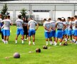 Antrenament FCSB // FOTO: Răzvan Bunea
